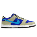 Кроссовки Nike Dunk Low Pro ACG Celadon BQ6817-301 Разноцветные