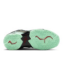 Кросівки Nike LeBron 11 King's Pride 616175-700 Оливковий, Зелений