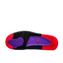 Кросівки Jordan 4 Retro Raptors Winter С МЕХОМ Різнокольорові