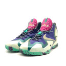 Кроссовки Nike LeBron 11 Gumbo League Gator King Разноцветные