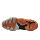 Кроссовки Jordan Why Not Zer0.6 Rattan DO7189-002 Разноцветные