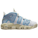 Кросівки Nike Air More Uptempo White Blue FD9869-100 Різнокольорові