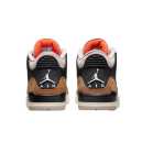 Кросівки Jordan 3 Desert Elephant CT8532-008 Різнокольорові