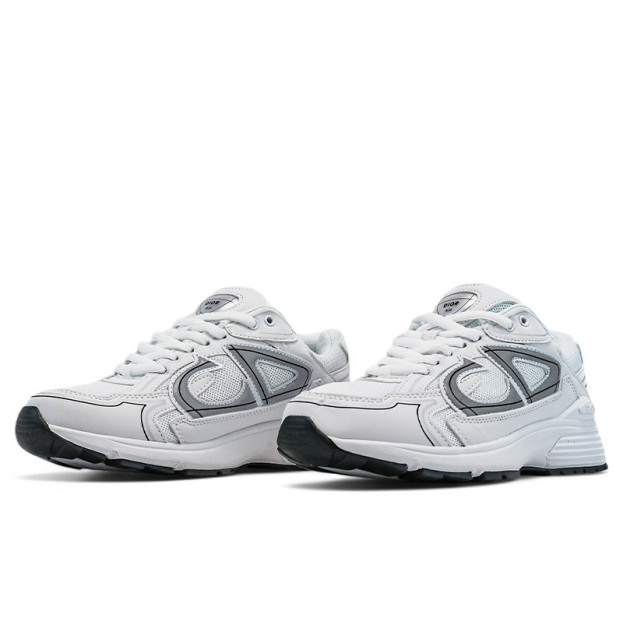 Dior B30 White Grey