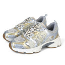 Кроссовки Dior Chrono Silver Gold Разноцветные