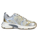 Кроссовки Dior Chrono Silver Gold Разноцветные