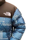 Верхній одяг Пуховик Унісекс The North Face 1996 Retro Nuptse Jacket Різнокольорові