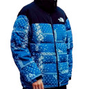 Верхній одяг Пуховик Унісекс The North Face 1996 Retro Nuptse Jacket Різнокольорові