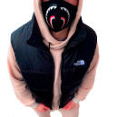 Верхній одяг унісекс The North Face 1996 Retro Nuptse Vest Чорний