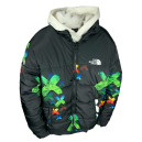 Верхняя одежда Пуховик Унісекс The North Face 1996 Retro Nuptse Jacket Разноцветные