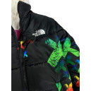 Верхняя одежда Пуховик Унісекс The North Face 1996 Retro Nuptse Jacket Разноцветные