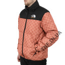 Верхняя одежда Пуховик Унісекс The North Face 1996 Retro Nuptse Jacket Gucci Бежевый