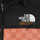 Верхняя одежда Пуховик Унісекс The North Face 1996 Retro Nuptse Jacket Gucci Бежевый
