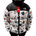 Верхняя одежда Пуховик Унісекс The North Face 1996 Retro Nuptse Jacket Разноцветные