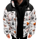 Верхняя одежда Пуховик Унісекс The North Face 1996 Retro Nuptse Jacket Разноцветные