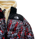 Верхняя одежда Пуховик Унісекс The North Face 1996 Retro Nuptse Jacket Разноцветные