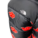 Верхняя одежда Пуховик Унісекс The North Face 1996 Retro Nuptse Jacket Черный/красный