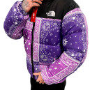 Верхняя одежда Пуховик Унісекс The North Face 1996 Retro Nuptse Jacket Разноцветные