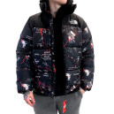 Верхняя одежда Пуховик Унісекс The North Face 1996 Retro Nuptse Jacket Разноцветные