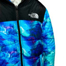 Верхняя одежда Пуховик Унісекс The North Face 1996 Retro Nuptse Jacket Разноцветные