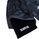 Шорти Унісекс шорти The North Face Сірий