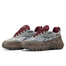 Кроссовки Reebok Zig Kinetica 2.5 Edge Grey Brown Bodro Разноцветные