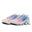Кросівки Nike Air Max Plus 605112-115 Різнокольорові