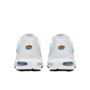 Кросівки Nike Air Max Plus 605112-115 Різнокольорові