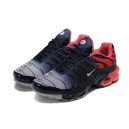 Кросівки Nike Air Max TN Plus 898015-009 Різнокольорові