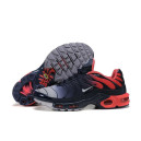 Кросівки Nike Air Max TN Plus 898015-009 Різнокольорові