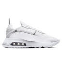 Кроссовки Nike Air Max 2090 White Black White CK2612-100 Черный/белый