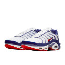 Кросівки Nike Air Max Plus White Red Blue CJ9928-100 Білий/синій