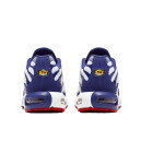 Кросівки Nike Air Max Plus White Red Blue CJ9928-100 Білий/синій