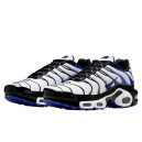 Кросівки Nike Air Max Plus Persian Violet White DB0682-100 Різнокольорові
