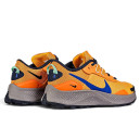 Кроссовки Nike Pegasus Trail 3 Total Orange DA8697-800 Оранжевый