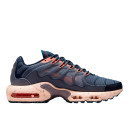 Кросівки Nike Air Max Terrascape Plus Obsidian Thunder Blue DN4587-400 Різнокольорові
