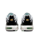 Кросівки Nike Air Max Plus White Black Mint Green DH4776-100 Різнокольорові