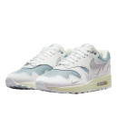 Кроссовки Nike Air Max 1 Patta Waves White DQ0299-100 Белый/серый