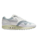Кроссовки Nike Air Max 1 Patta Waves White DQ0299-100 Белый/серый