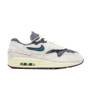 Кросівки Nike Air Max 1 Protection Pack Сірий