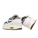 Кросівки Nike Air Max 1 Protection Pack Сірий