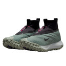 Кросівки Nike ACG Moutain Fly Gore-Tex Clay Green CT2904-300 Чорний/зелений