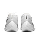 Кросівки Nike Air ZoomX VaporFly NEXT 2 White Metallic Silver CU4123-100 Білий/сірий