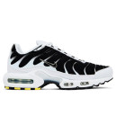 Кросівки Nike Air Max Plus White Black Metallic Pewter CT1094-102 Чорний/білий