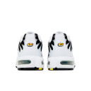 Кросівки Nike Air Max Plus White Black Metallic Pewter CT1094-102 Чорний/білий