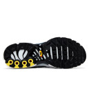 Кросівки Nike Air Max Plus White Black Metallic Pewter CT1094-102 Чорний/білий