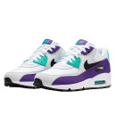 Кросівки Nike Air Max 90 Grape AJ1285-103 Фіолетовий