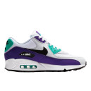 Кросівки Nike Air Max 90 Grape AJ1285-103 Фіолетовий