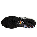 Кросівки Nike Air Max Plus Toggle Black Silver FD0799-001 Чорний/сірий