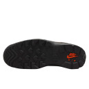 Кросівки Nike ACG Air Mada Bison DO9332-200 Коричневий